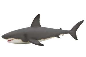 Shark PNG-18810